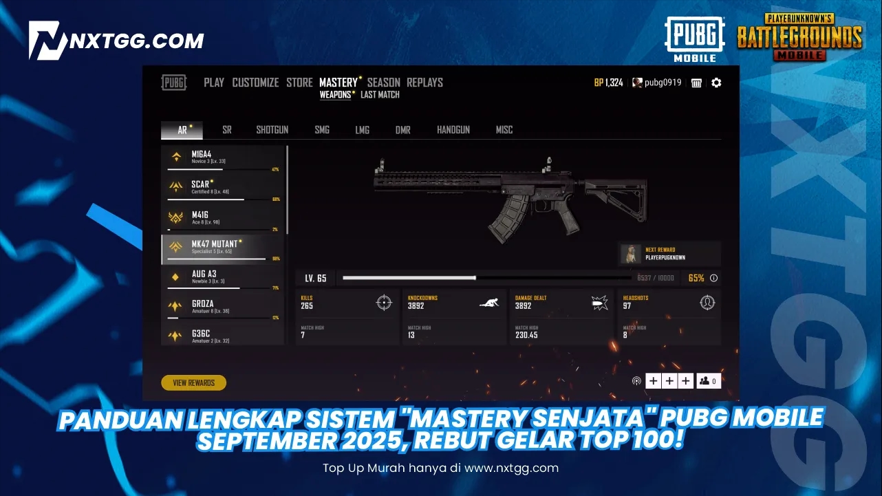 Panduan Lengkap Sistem "Mastery Senjata" PUBG Mobile September 2025, Rebut Gelar Top 100!